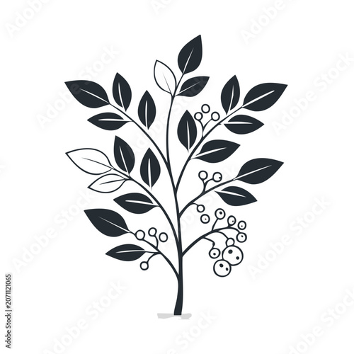 Flat illustration of a plant branch with leaves and berries