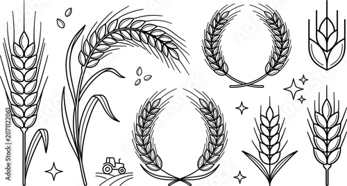 Tableau sur toile Wheat ears and agricultural grain wreaths set representing harvest bakery farmin