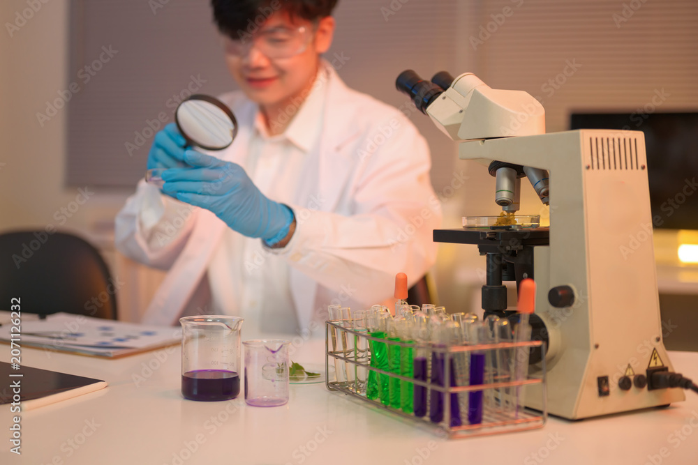 Fototapeta premium Laboratory setup with purple and green liquid samples in beakers and test tubes