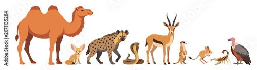 Photos Desert animals vector set
