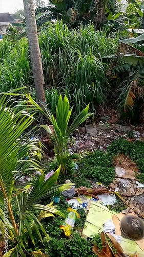 tropical garden with palm trees