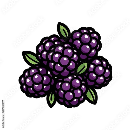 Purple grapes with green leaves on vine.