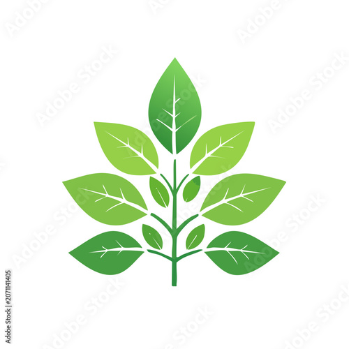 Green Leaf Vector Illustration