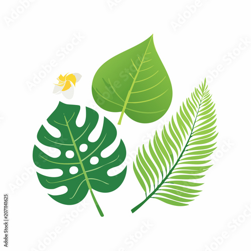 Tropical Leaves and Flower Illustration