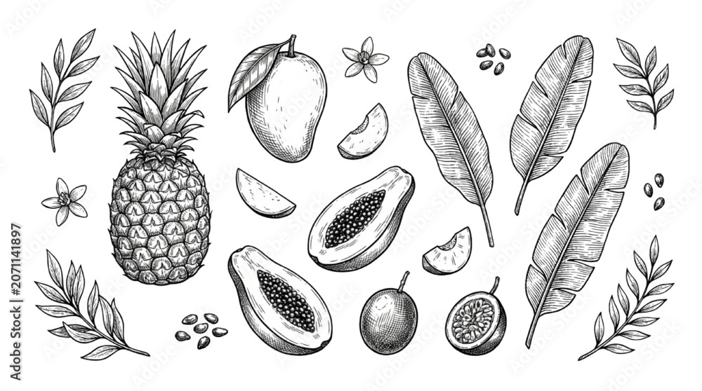 Fototapeta premium Hand Drawn Tropical Fruit and Botanical Leaves Collection in Vintage Sketch Style