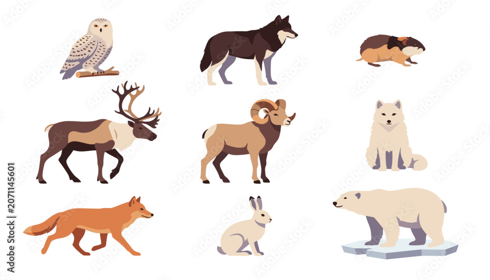 Obraz premium Arctic animals vector set. Cartoon polar bear, wolf, fox, reindeer, owl, rabbit, isolated transparent background elements.