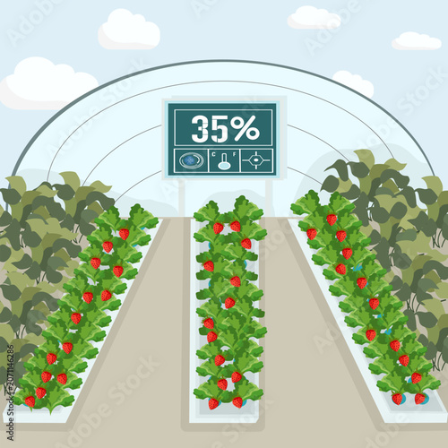 Smart agriculture greenhouse for organic strawberry farming, digital monitor on a stand displaying humidity and temperature, innovative agritech vector illustration.