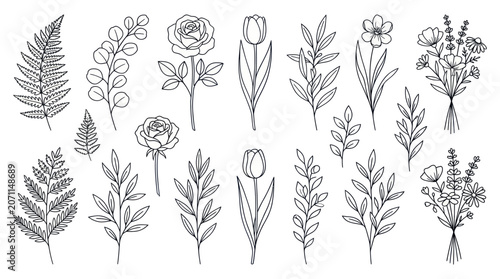 Minimalist line art sketches of individual flower stems.