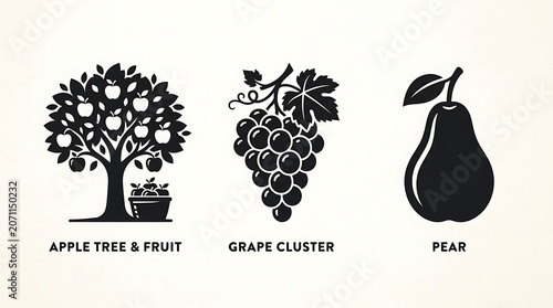 Black and white fruit tree and pear illustrations.