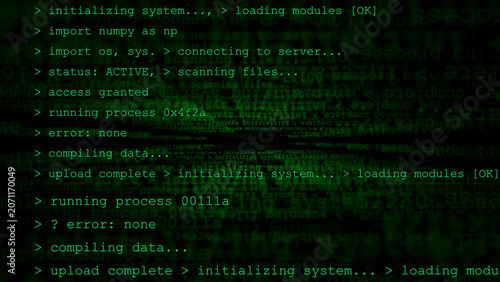 Konstfotografi Command line interface displaying access granted status on dark background