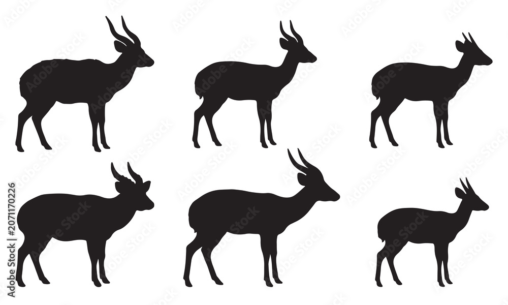 Fototapeta premium Elegant deer silhouettes in black vector style for forest wildlife and hunting art projects
