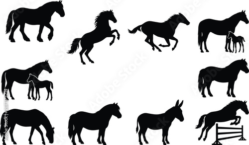 Foto Horses and foals black silhouettes vector collection featuring mare with foal ju