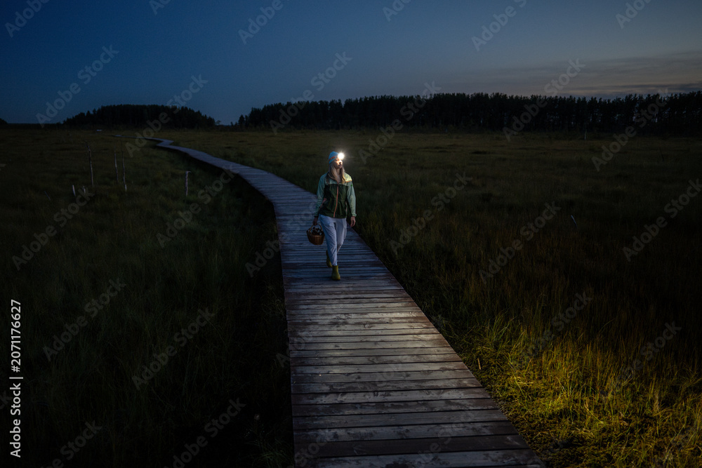 Fototapeta premium Woman forager walks through peat bog at wooden path at dusk, lighting her way with headlamp on head, returning from autumn wetland with basket full of mushrooms. Foraging wild food. 