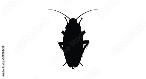 Εκτύπωση καμβά Cockroach Silhouette On White Background Insect Vector Illustration
