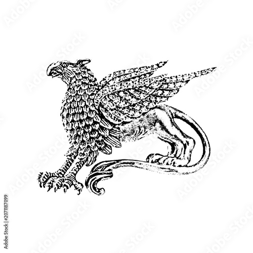 Detailed medieval griffin heraldic creature illustration with mythological creature heraldic medieval engraving legendary monochrome ornament detailed illustration isolated historical