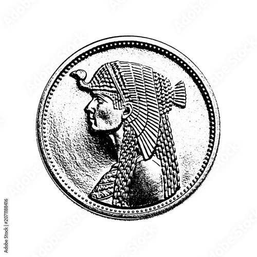 Ancient egyptian queen profile relief on circular coin with egyptian currency engraving monumental archaeology artifact portrait circular monochrome illustration numismatics detailed