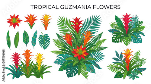 Vibrant Guzmania Bromeliad Flowers and Tropical Leaves, Hand-Drawn Botanical Illustration