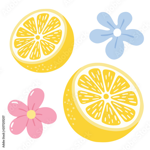 Fresh lemon slices and cute flowers vector illustration set with hand drawn citrus fruits and blossoms