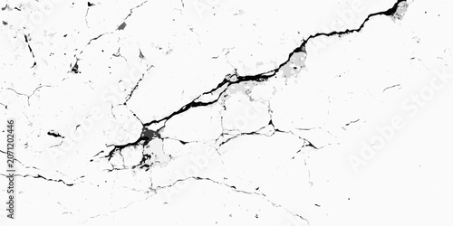 Bild auf Leinwand Cracked surface texture with irregular fractures black and white grunge style on