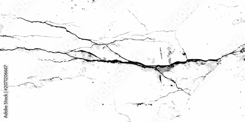 Bild auf Leinwand Cracked surface texture with irregular fractures black and white grunge style on