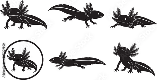 Axolotl Silhouette Icon Set Aquatic Amphibian Wildlife Vector Collection