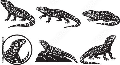 Argentine Black and White Tegu Silhouette Icon Set Collection Reptile Vector Wildlife Icons