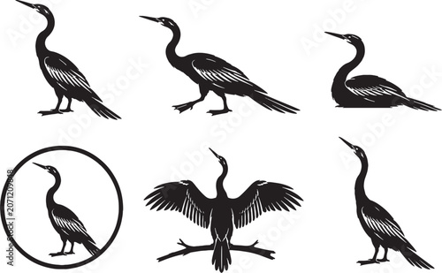 Anhinga Silhouette Icon Set Water Bird Wildlife Vector Collection