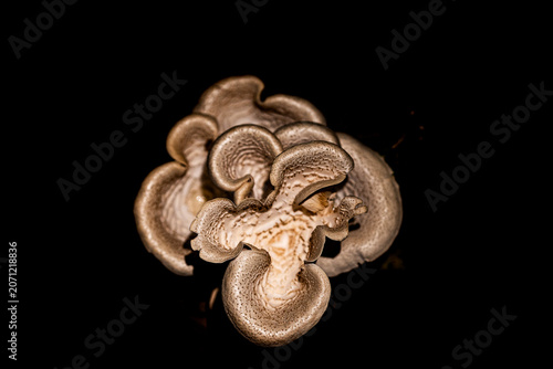 old door knocker
