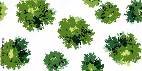 Bilde på lerret Watercolor green tree canopies a top down view against a white background aerial