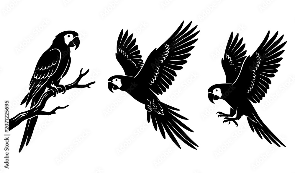 Fototapeta premium Three Parrot Silhouettes in Perched Flying and Descending Positions Vector Illustration