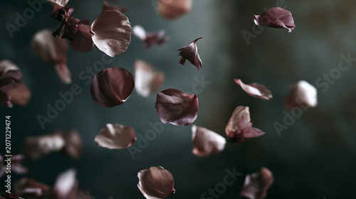 Moody Vintage Aesthetic Dusty Rose and Mauve Flower Petals Falling in Motion