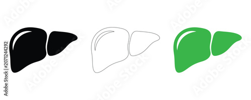 Liver organ icon set in black, white and green, human anatomy medical vector