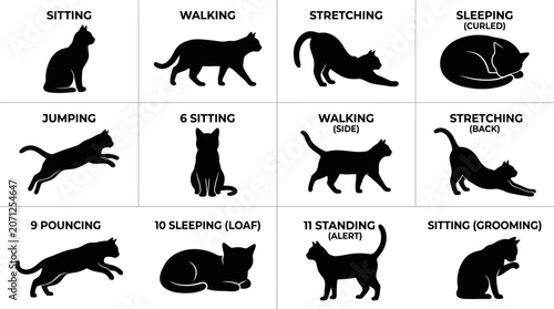 Black Cat Silhouettes Various Poses.