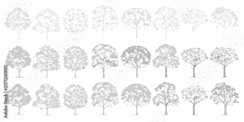 Photos Variety Of Tree Silhouettes And Crown Shapes Architectural Line Drawings On Whit