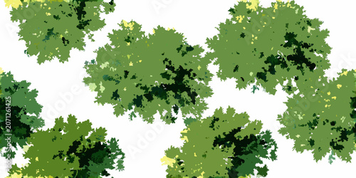 Tableau sur toile Watercolor green tree canopies a top down view of lush foliage against a white b
