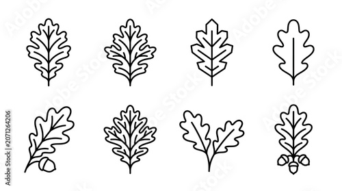 Oak leaves in a line.