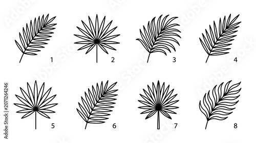 Palm leaves in various shapes.