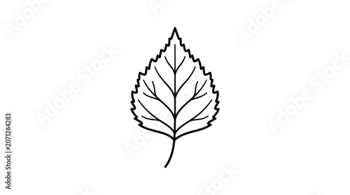 Single Leaf Illustration.