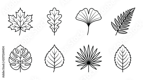 Variety of Leaf Shapes.