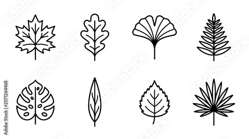 Variety of leaf shapes.
