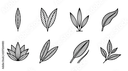 Variety of leaf shapes.