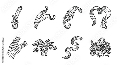 Various tentacles and suckers.