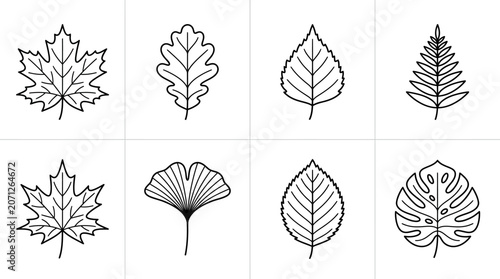 Various types of leaf illustrations.