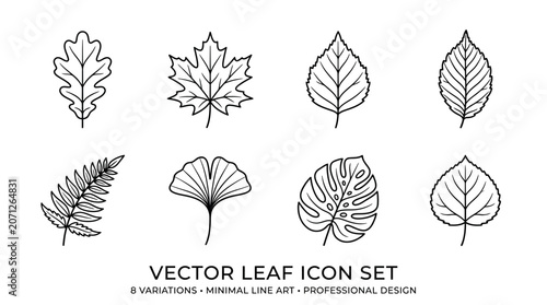Vector Leaf Icon Set Collection.
