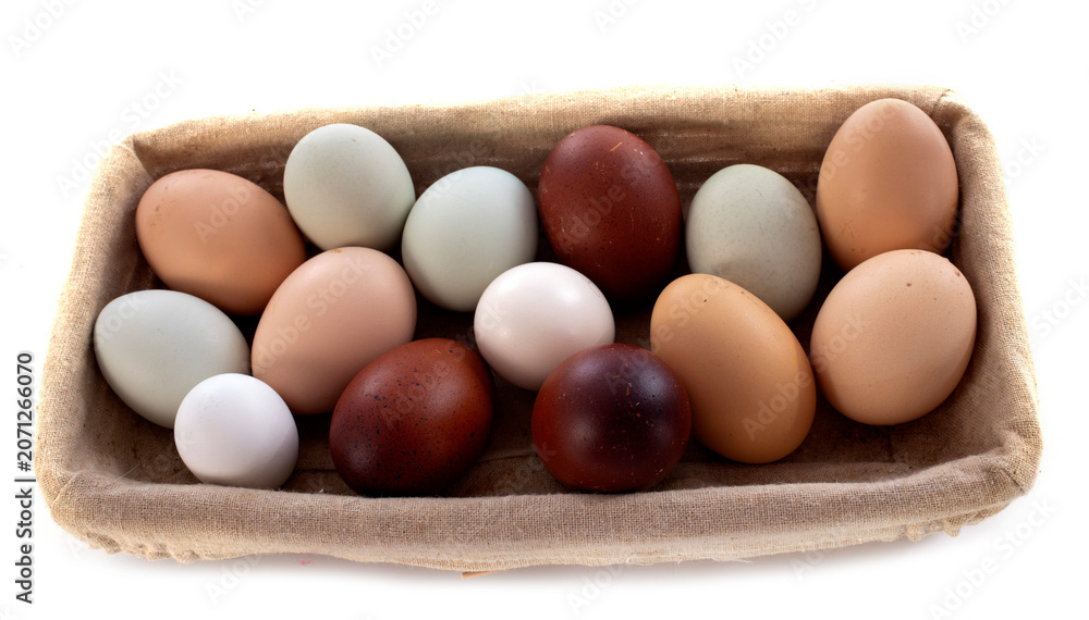 Obraz premium fresh eggs in studio