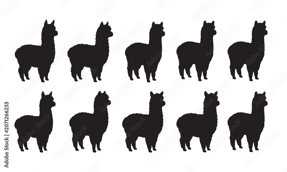 Fototapeta premium A series of black silhouette icons depicting standing alpacas in a clean, minimalist style.
