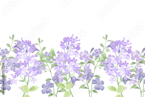 Fotografie Watercolor lilac and phlox seamless border background, purple floral flowers vec