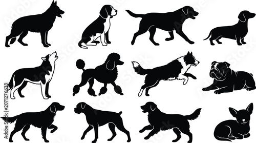 Konstfotografi Diverse dog breeds in silhouette against a white background for graphic design