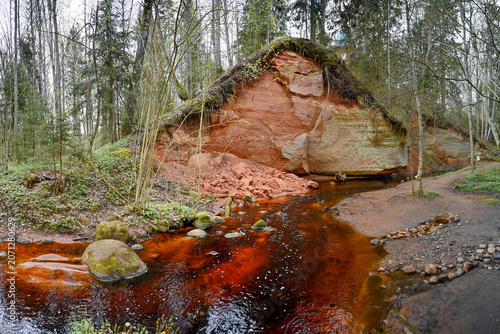 Принти на полотні Red water of a forest stream near the rocks of the Trutnevskie Caves, Pskov regi