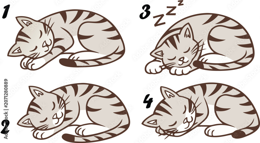 Fototapeta premium Four numbered of a sleeping tabby cat in various curled positions with grey stripes and white fur isolated on white background